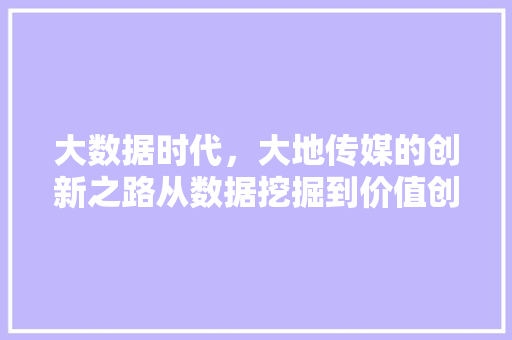 大数据时代，大地传媒的创新之路从数据挖掘到价值创造