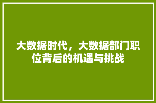 大数据时代，大数据部门职位背后的机遇与挑战