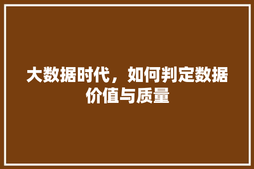 大数据时代，如何判定数据价值与质量