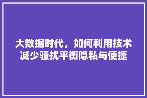 大数据时代，如何利用技术减少骚扰平衡隐私与便捷