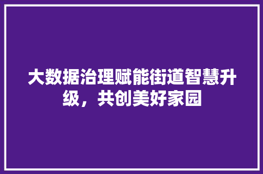 大数据治理赋能街道智慧升级，共创美好家园