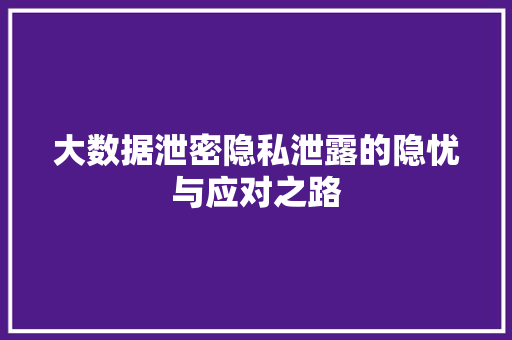 大数据泄密隐私泄露的隐忧与应对之路