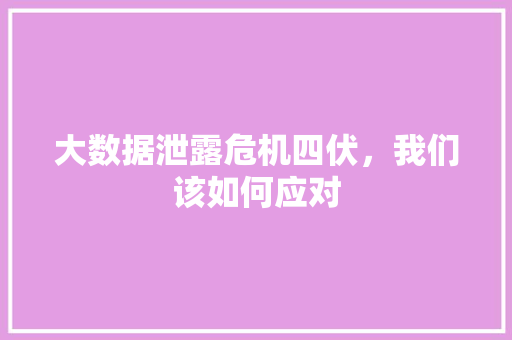 大数据泄露危机四伏，我们该如何应对