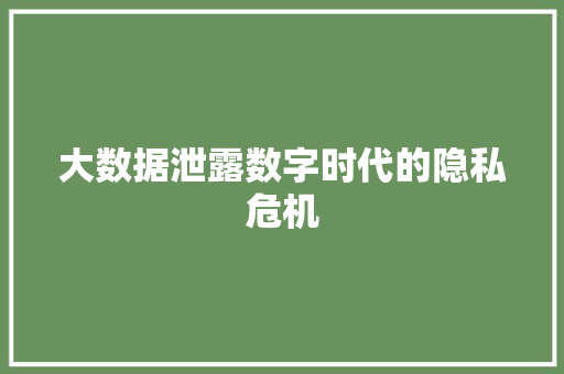 大数据泄露数字时代的隐私危机