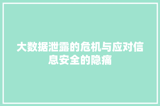 大数据泄露的危机与应对信息安全的隐痛