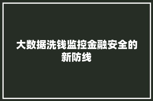 大数据洗钱监控金融安全的新防线