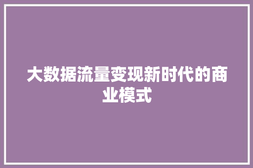 大数据流量变现新时代的商业模式
