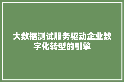 大数据测试服务驱动企业数字化转型的引擎