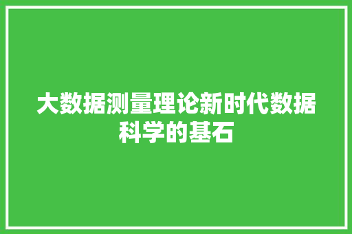 大数据测量理论新时代数据科学的基石