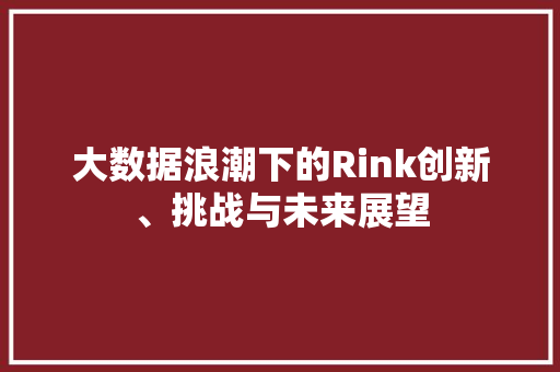 大数据浪潮下的Rink创新、挑战与未来展望