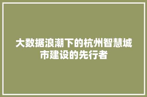 大数据浪潮下的杭州智慧城市建设的先行者