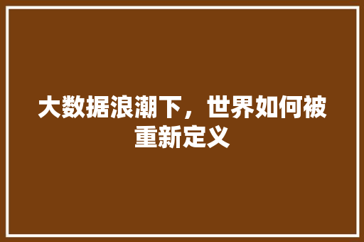 大数据浪潮下，世界如何被重新定义
