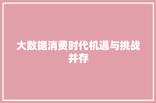 大数据消费时代机遇与挑战并存