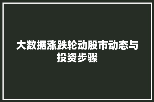 大数据涨跌轮动股市动态与投资步骤
