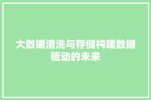 大数据清洗与存储构建数据驱动的未来