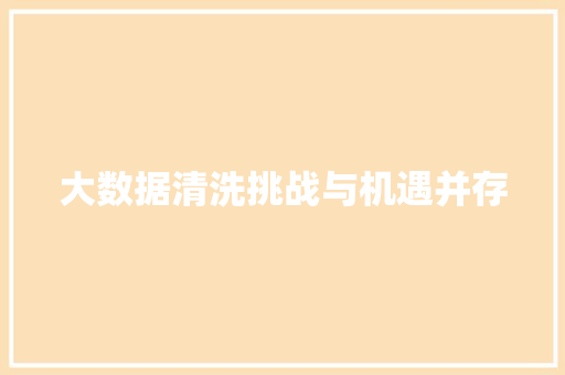 大数据清洗挑战与机遇并存