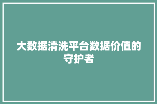 大数据清洗平台数据价值的守护者