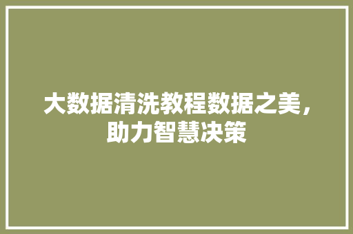 大数据清洗教程数据之美，助力智慧决策