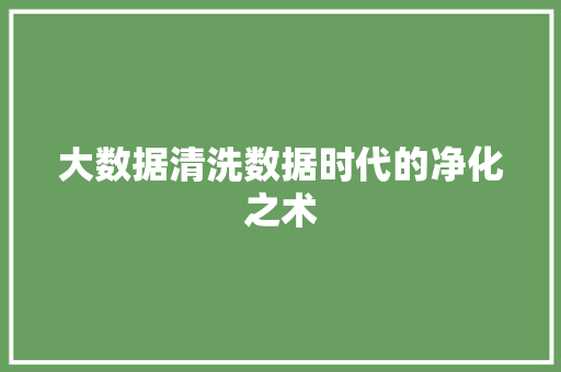 大数据清洗数据时代的净化之术