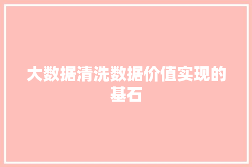 大数据清洗数据价值实现的基石