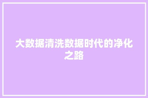 大数据清洗数据时代的净化之路