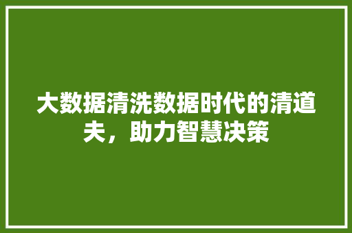 大数据清洗数据时代的清道夫，助力智慧决策