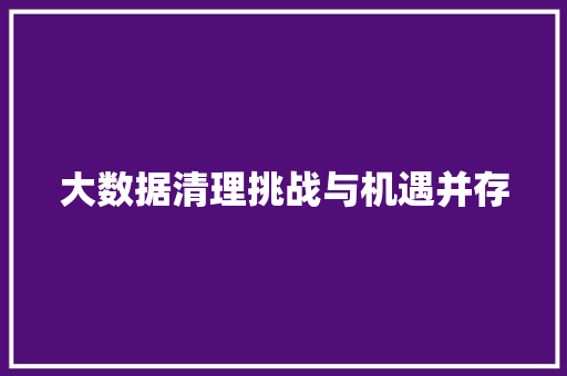 大数据清理挑战与机遇并存