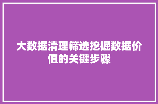 大数据清理筛选挖掘数据价值的关键步骤