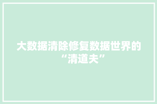 大数据清除修复数据世界的“清道夫”
