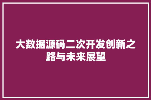大数据源码二次开发创新之路与未来展望