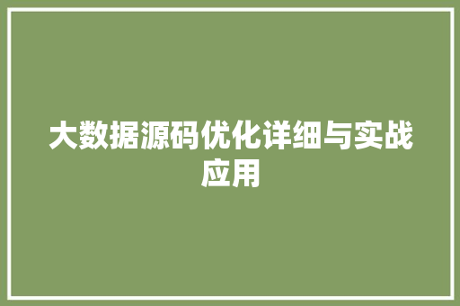 大数据源码优化详细与实战应用