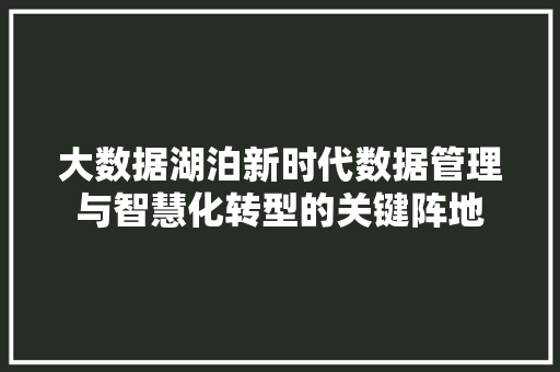 大数据湖泊新时代数据管理与智慧化转型的关键阵地