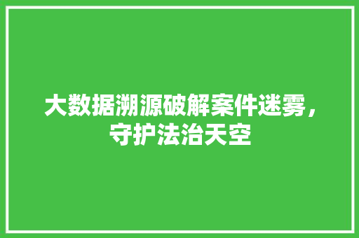 大数据溯源破解案件迷雾，守护法治天空