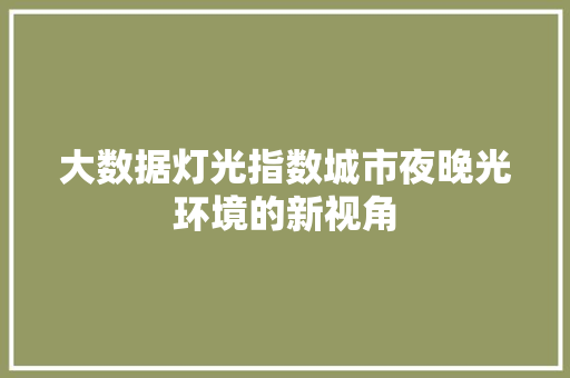 大数据灯光指数城市夜晚光环境的新视角