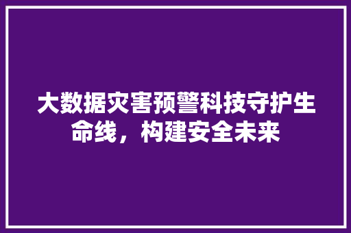 大数据灾害预警科技守护生命线，构建安全未来