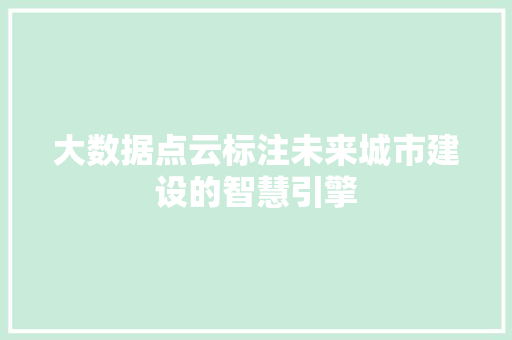 大数据点云标注未来城市建设的智慧引擎