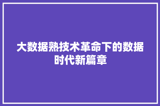 大数据熟技术革命下的数据时代新篇章
