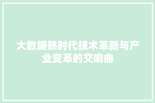 大数据熟时代技术革新与产业变革的交响曲