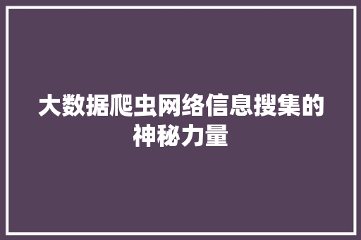 大数据爬虫网络信息搜集的神秘力量