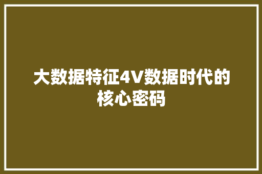 大数据特征4V数据时代的核心密码