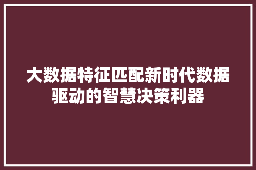 大数据特征匹配新时代数据驱动的智慧决策利器