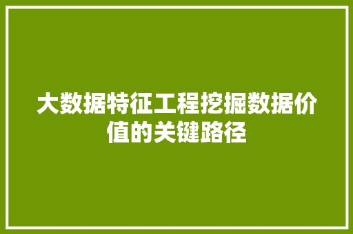 大数据特征工程挖掘数据价值的关键路径