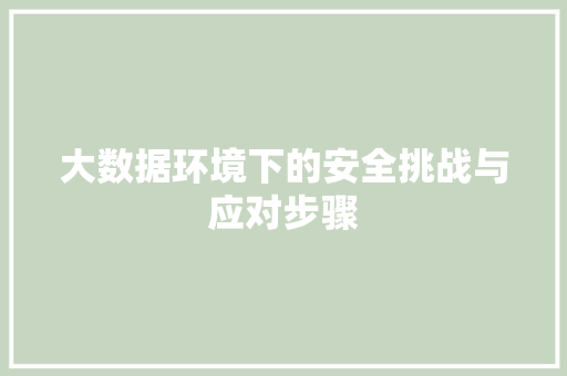 大数据环境下的安全挑战与应对步骤