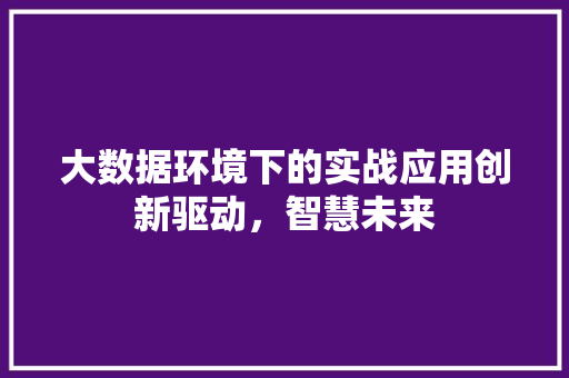 大数据环境下的实战应用创新驱动，智慧未来
