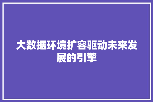 大数据环境扩容驱动未来发展的引擎