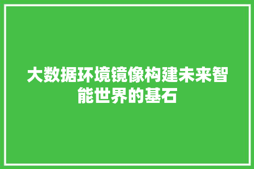 大数据环境镜像构建未来智能世界的基石