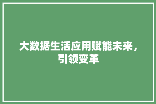 大数据生活应用赋能未来，引领变革