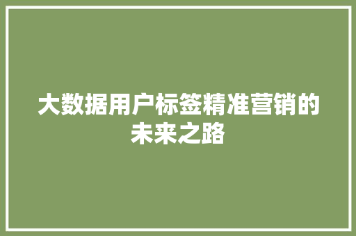 大数据用户标签精准营销的未来之路