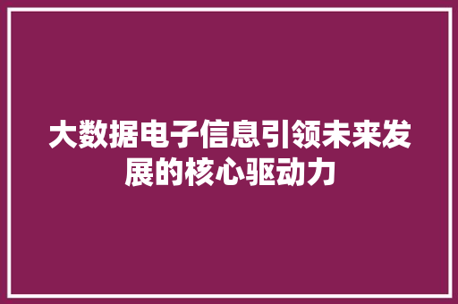 大数据电子信息引领未来发展的核心驱动力