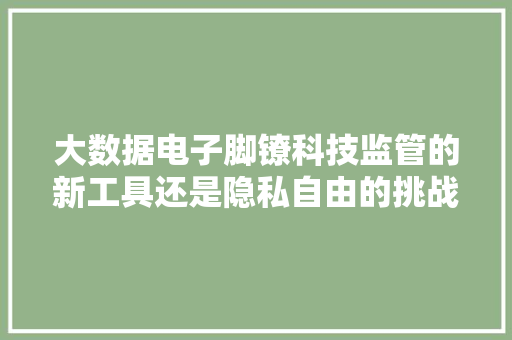 大数据电子脚镣科技监管的新工具还是隐私自由的挑战